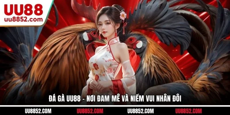 Đá gà UU88 - Nơi đam mê và niềm vui nhân đôi