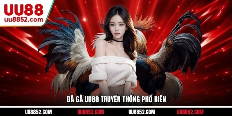 Đá gà UU88 truyền thống phổ biến
