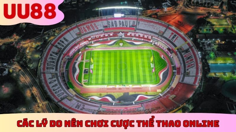 Các lý do nên chơi cược thể thao online