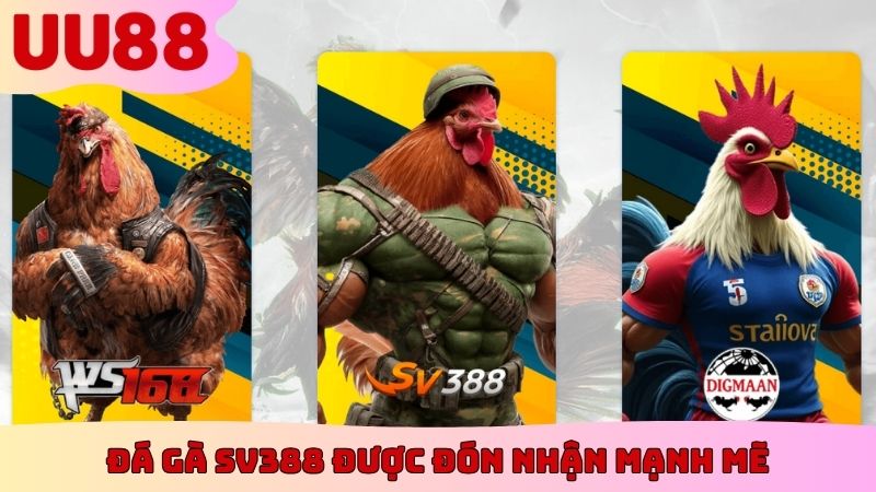 Các điểm khiến đá gà SV388 được đón nhận mạnh mẽ