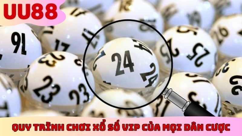 Quy trình chơi xổ số Vip của mọi dân cược
