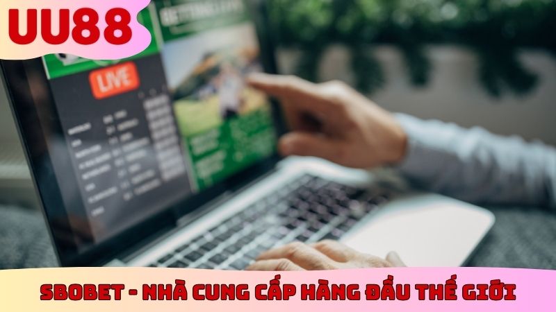 Sbobet - Nhà cung cấp thể thao hàng đầu thế giới